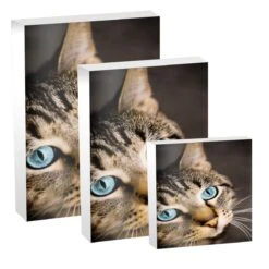 Wooden Photo Blocks - White