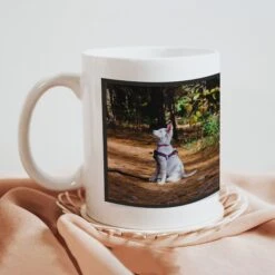 Best Dog Parent Photo Mug